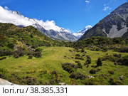 Nature of Hooker valley, New Zealand. Стоковое фото, фотограф Сергей Стрелков / Фотобанк Лори