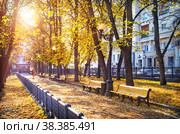 Патриаршие пруды осенним солнечным днем и скамейки в парке, Москва (2021 год). Редакционное фото, фотограф Baturina Yuliya / Фотобанк Лори