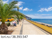 The рromenade Funchal (2012 год). Редакционное фото, фотограф Михаил Аккуратoв / Фотобанк Лори