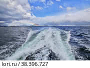 Nature on Beagle channel close Ushuaia city, Tierra del Fuego, Argentina (2019 год). Стоковое фото, фотограф Сергей Стрелков / Фотобанк Лори