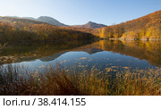 Gold autumn. Beautiful reflection in the water of a forest lake in the mountains. Стоковое фото, фотограф Яна Королёва / Фотобанк Лори