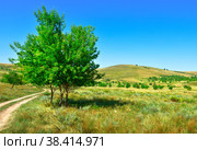 Golden hills of the Minusinsk basin. Стоковое фото, фотограф ArhSib / Фотобанк Лори