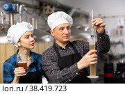 Man and woman brewmasters measuring beer with alcoholometer. Стоковое фото, фотограф Яков Филимонов / Фотобанк Лори