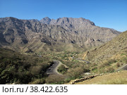 Wadi Sara in mountains, Yemen (2013 год). Стоковое фото, фотограф Сергей Стрелков / Фотобанк Лори