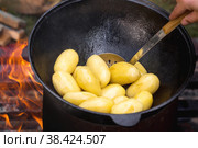 Рецепт приготовления картофеля с мясом и овощами в казане на природе. Приготовление еды. Кулинарные рецепты. Пошаговая фото инструкция по приготовлению. Стоковое фото, фотограф Photojuli / Фотобанк Лори