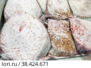 сырая плоская черноморская камбала калкан , лежащая на прилавке рыбного рынка. Вид сверху на большую рыбу с шипами. черноморская камбала называется калкан. Стоковое фото, фотограф Оксана Медведева / Фотобанк Лори