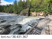 Behemoth — the rapid on the mountain the Chuya river in the Altai Republic near the mouth of the river Agulak. Nature Of Altai. The boiling water of a mountain river. Бегемот — стремнина на горной реке Чуя в Республике Алтай недалеко от устья реки Агулак. Природа Алтая. Кипящая вода горной реки. Стоковое фото, фотограф Мария Кошелева / Фотобанк Лори