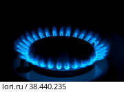 Gas burners. Стоковое фото, фотограф Денис Дряшкин / Фотобанк Лори