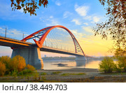 Bugrinsky bridge in golden autumn (2021 год). Стоковое фото, фотограф ArhSib / Фотобанк Лори