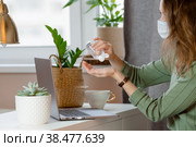 Коронавирус и грипп. Деловая женщина, работающая в офисе в защитной маске. Деловая женщина на карантине из-за коронавируса в защитной маске. Работа из дома. Моет руки дезинфицирующим гелем. Стоковое фото, фотограф Photojuli / Фотобанк Лори