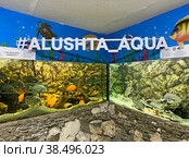 Алуштинский аквариум, Крым (2022 год). Редакционное фото, фотограф Мария Кылосова / Фотобанк Лори