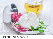 Burato cheese and lettuce for weight correction of Lollo Rosso lettuce leaves, watercress salad and other green herbs. Стоковое фото, фотограф Оксана Медведева / Фотобанк Лори