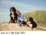 woman with her dogs. Стоковое фото, фотограф Lekcej / Фотобанк Лори
