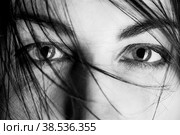 stared female eyes. Стоковое фото, фотограф Lekcej / Фотобанк Лори
