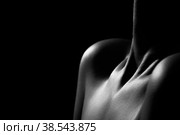 neck with clavicles. Стоковое фото, фотограф Lekcej / Фотобанк Лори