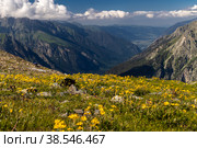 Горная долина в цветах, Домбай (2022 год). Редакционное фото, фотограф Aliz_red_s / Фотобанк Лори