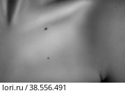 beautiful female clavicles. Стоковое фото, фотограф Lekcej / Фотобанк Лори