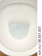opened white toilet. Стоковое фото, фотограф Lekcej / Фотобанк Лори
