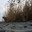 Рыбацкая лодка в камышах на реке. Стоковое фото, фотограф Ирина Удачливая / Фотобанк Лори
