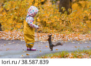 A girl feeds a squirrel in an autumn Park. A small child in yellow trousers and rain boots watches a wild animal in an autumn forest with Golden leaves. Children play outdoors. Children play with Pets. Стоковое фото, фотограф Photojuli / Фотобанк Лори