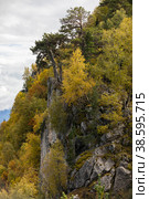 Россия. Адыгея. Природа Адыгеи. Кавказский заповедник. Плато Лаго-Наки. Russia. Adygea. The nature of Adygea. Caucasian Nature Reserve. The plateau of Lago Naki. Стоковое фото, фотограф Алексей Смышляев / Фотобанк Лори