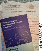 Международный ветеринарный паспорт животного и ветеринарный сертификат. Документы для полета на самолете в другую страну (2023 год). Редакционное фото, фотограф Ирина Терентьева / Фотобанк Лори