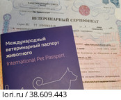 Ветеринарный паспорт животного и ветеринарный сертификат. Документы для перевозки животного (2023 год). Редакционное фото, фотограф Ирина Терентьева / Фотобанк Лори