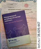 Международный ветеринарный паспорт животного и ветеринарный сертификат. Документы для перевозки животного через границу (2023 год). Редакционное фото, фотограф Ирина Терентьева / Фотобанк Лори