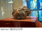 Балтийский янтарь. Вес 4 кг 280 гр. Музей янтаря. Калининград (2022 год). Редакционное фото, фотограф Владимир Макеев / Фотобанк Лори