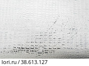 Texture fragment of an old suitcase. Стоковое фото, фотограф Siarhei Starastau / Фотобанк Лори