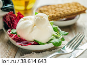 Burato cheese and salad on a white platter. Lollo Rosso lettuce, cress salad and other green herbs. The concept of a healthy diet for the weight loss . Italian dish. Selective focus. Стоковое фото, фотограф Оксана Медведева / Фотобанк Лори