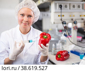 Female scientist injecting reagent from syringe into bell pepper, performing scientific researching of food genetic modification in laboratory. Стоковое фото, фотограф Яков Филимонов / Фотобанк Лори