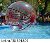 Anapa, Krasnodar region, Russia, May 1, 2016: Girl inside big inflatable ball rides on water in Central Park of 30th anniversary of Victory. Редакционное фото, фотограф Алексей Антипов / Фотобанк Лори