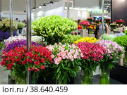 Colorful alstroemeria flowers. A large bouquet of colorful alstroemeria flowers in a flower shop is sold as a gift background. Стоковое фото, фотограф Оксана Медведева / Фотобанк Лори
