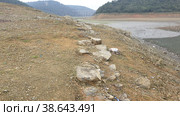Водохранилище Алибей (Alibey Dam). Султангази. Стамбул. Турция (2023 год). Стоковое фото, фотограф lana1501 / Фотобанк Лори