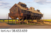 Поволжье, страда. Механизированный ток на закате. Volga region, harvest season. Mechanized threshing floor at the sunset light. Стоковое видео, видеограф Евгений Романов / Фотобанк Лори