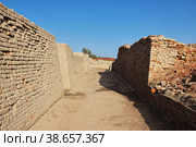 Mohenjo daro ruins close Indus river in Larkana district, Sindh, Pakistan (2021 год). Стоковое фото, фотограф Сергей Стрелков / Фотобанк Лори