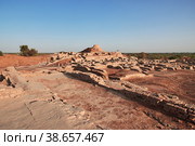 Mohenjo daro ruins close Indus river in Larkana district, Sindh, Pakistan (2021 год). Стоковое фото, фотограф Сергей Стрелков / Фотобанк Лори