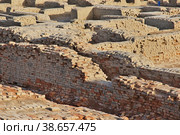 Mohenjo daro ruins close Indus river in Larkana district, Sindh, Pakistan (2021 год). Стоковое фото, фотограф Сергей Стрелков / Фотобанк Лори