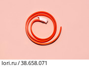 Antiparasitic collar for cats and dogs. Prevention of blood-sucking insects fleas and ticks. Стоковое фото, фотограф Коханова Наталья / Фотобанк Лори