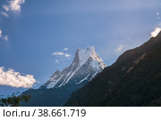 Mount Machapuchare (2012 год). Стоковое фото, фотограф Юлия Бабкина / Фотобанк Лори