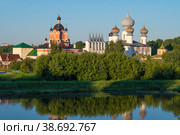 Купола старинного Тихвинского Богородичного Успенского монастыря в летнем пейзаже августовским солнечным утром. Ленинградская область, Россия (2022 год). Стоковое фото, фотограф Виктор Карасев / Фотобанк Лори