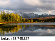 Amazing Altai nature landscape of calm Kidelu lake surrounded by colorful sunny autumn forest and incredible mountain ice peaks of Siberia, trees grow on shore with blue cloudy sky. Altai, Siberia. Стоковое фото, фотограф Евгений / Фотобанк Лори