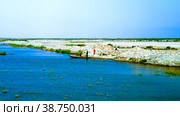 Mesopotamian Marshes, habitat of Marsh Arabs aka Madans Basra Ir. Стоковое фото, фотограф Сергей Майоров / Фотобанк Лори