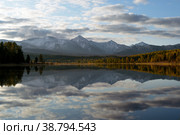 Amazing Altai nature landscape of calm Kidelu lake at sunrise surrounded by colorful sunny autumn forest and mountain ice peaks of Siberia, trees grow on shore and morning cloudy sky. Altai, Siberia. Стоковое фото, фотограф Евгений / Фотобанк Лори