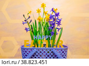 Easter card with daffodils and hyacinths in a very peri basket. Стоковое фото, фотограф Anastasia Kayander / Фотобанк Лори