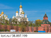 Вид на Московский Кремль и соборы на Соборной площади летним днем. Москва, Россия (2019 год). Редакционное фото, фотограф Pukhov K / Фотобанк Лори