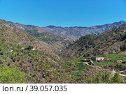 Nature in Malam Jabba close Hindu Kush mountains of Himalayas, Pakistan (2021 год). Стоковое фото, фотограф Сергей Стрелков / Фотобанк Лори