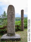 Sacred Deer Stones of Central Asia created in 1500-1000 B.C. by nomads of Baikal region, Mongolia, Tuva Altai, Kazakhstan and Ciscaucasia (2022 год). Стоковое фото, фотограф Сергей Фролов / Фотобанк Лори