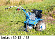 Harvesting potatoes with a walk-behind tractor (2022 год). Редакционное фото, фотограф FotograFF / Фотобанк Лори